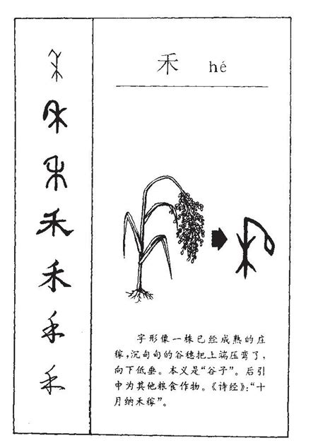 禾名字意思|带禾字好听的名字